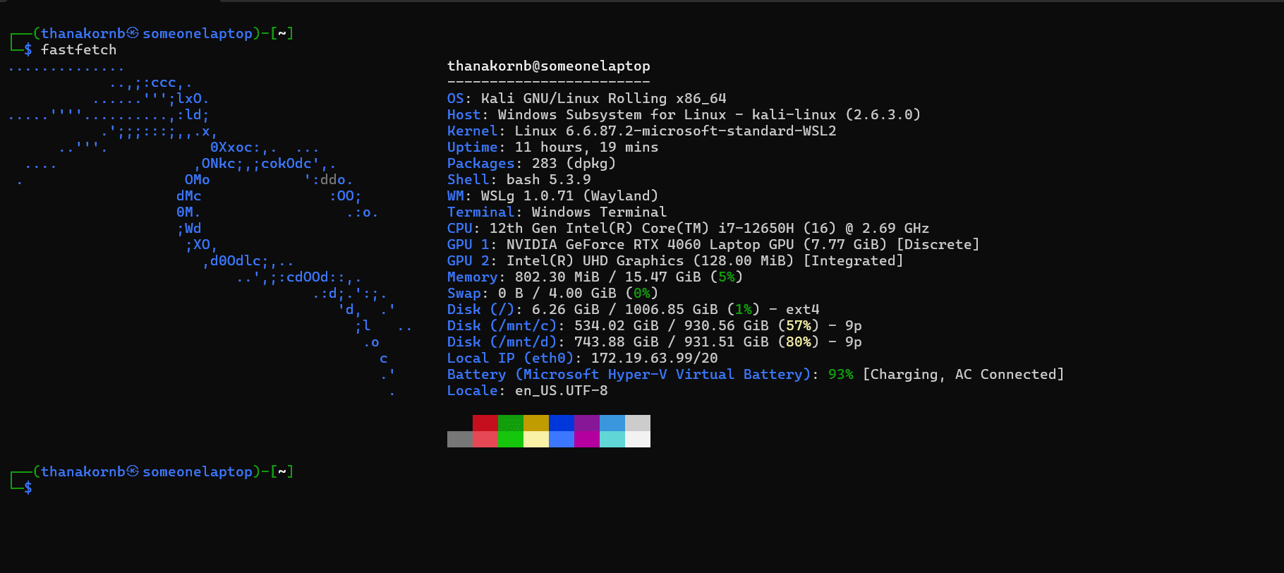Kali Linux operating system interface